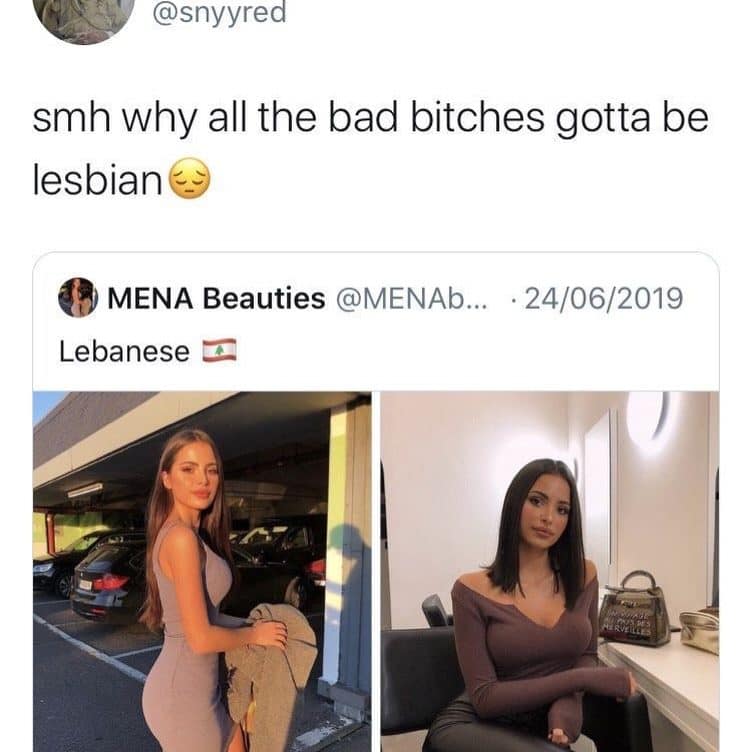 Meme dump tweet complaining about attractive women being lesbian, quoting photos of two women.