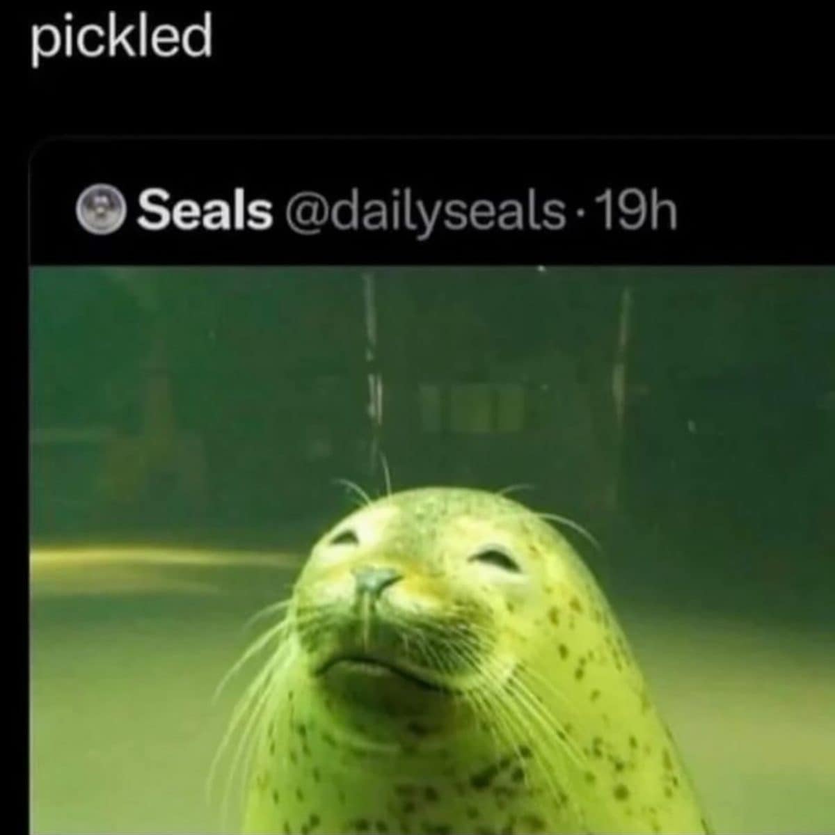 Smiling spotted seal underwater under a green tint, captioned with one word: pickled