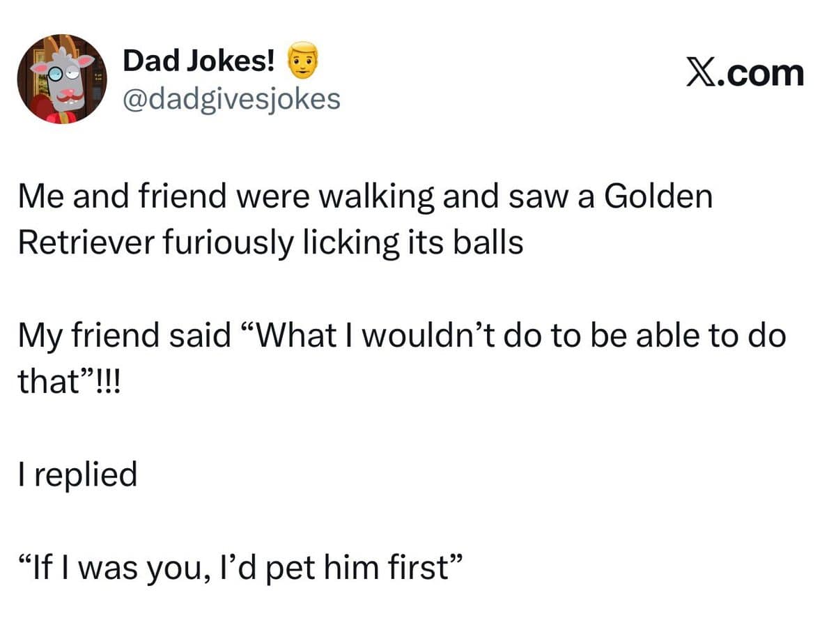 Meme dump dad joke about a golden retriever, ending with the line pet him first