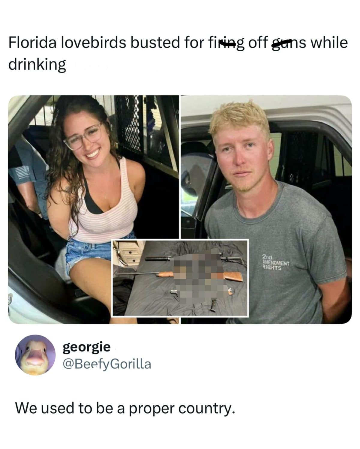 Meme dump post about a Florida couple arrested for firing guns while drinking
