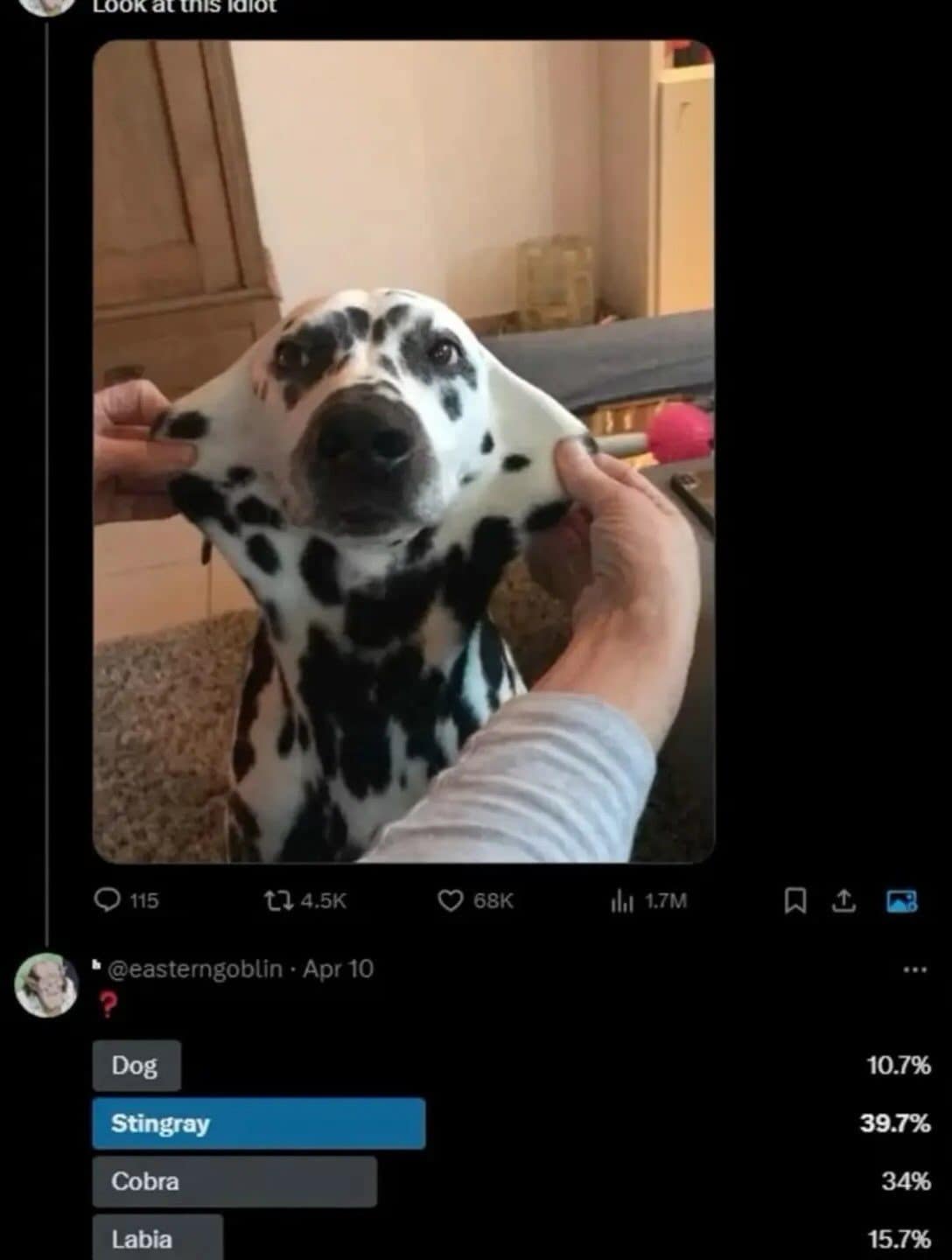 Meme dump poll asking what a squished dalmatian face looks like, with stingray winning