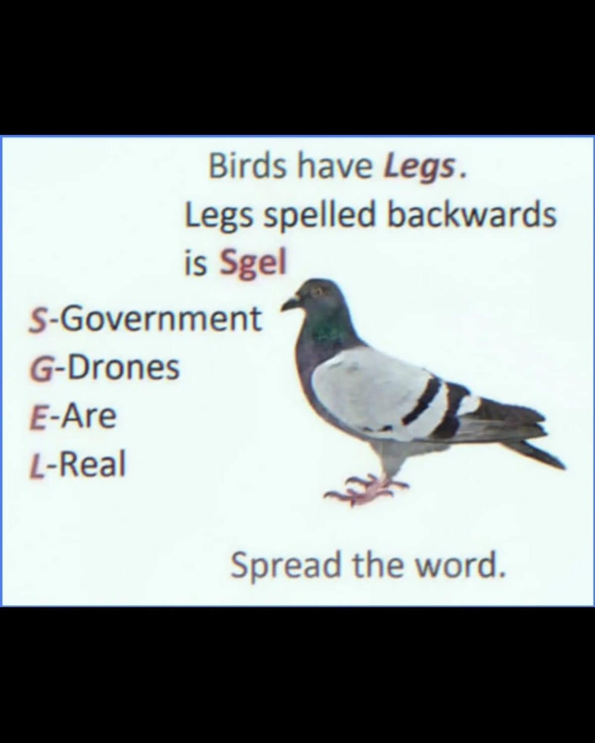 Pigeon diagram claiming legs backwards spells sgel: government drones are real, spread the word