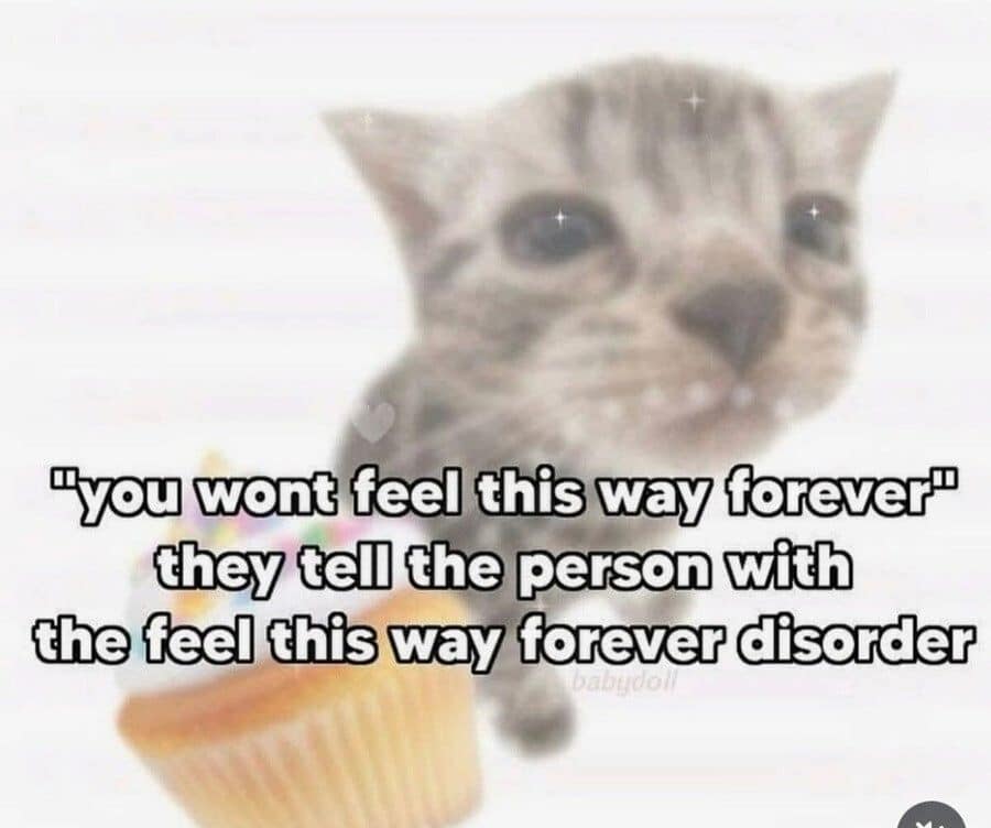 Blurry kitten and cupcake meme about having feel this way forever disorder.