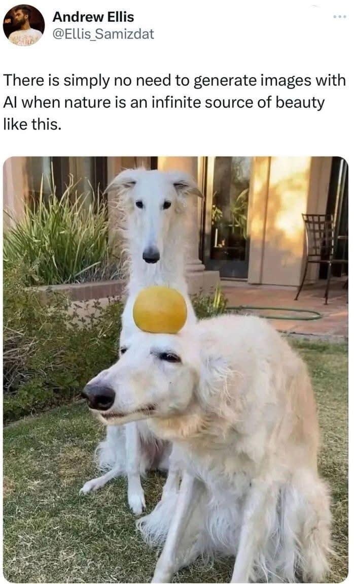 Two borzoi dogs stacked with a ball between their heads, closing this meme dump.