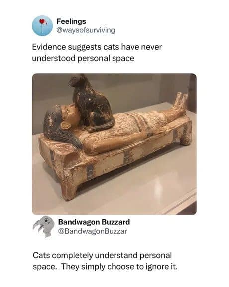 Ancient Egyptian sculpture of a cat perched on a sleeping person, in today's meme dump.