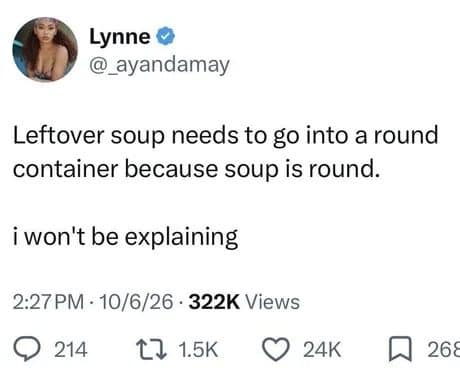 Meme dump tweet insisting leftover soup belongs in a round container because soup is round.