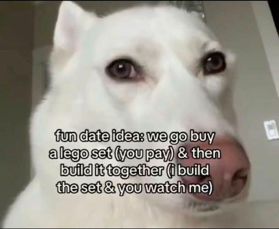 Close-up of a white dog with text proposing a Lego date where you pay and only watch.
