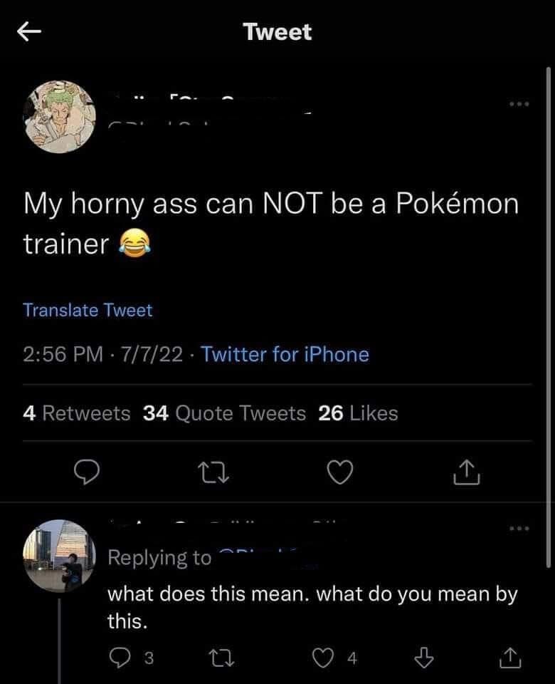 Tweet joking they could never be a Pokemon trainer, plus a confused reply.
