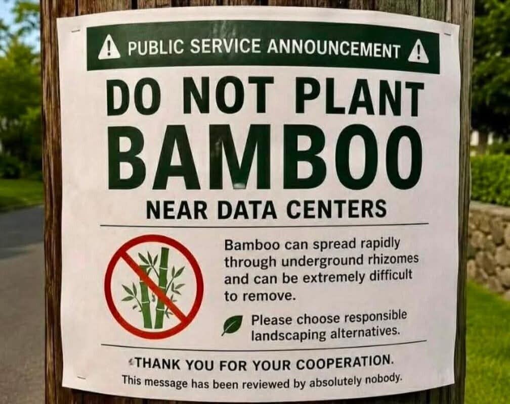 Sign on a utility pole warning residents not to plant bamboo near data centers.