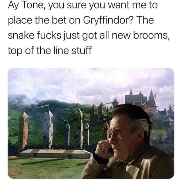 A Sopranos mobster calls in a Quidditch bet near Hogwarts in this meme dump favorite.