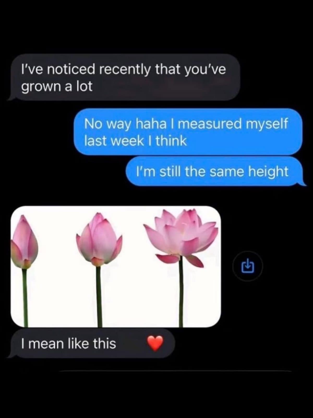 Text exchange where 'you've grown' gets answered with a picture of blooming lotus flowers
