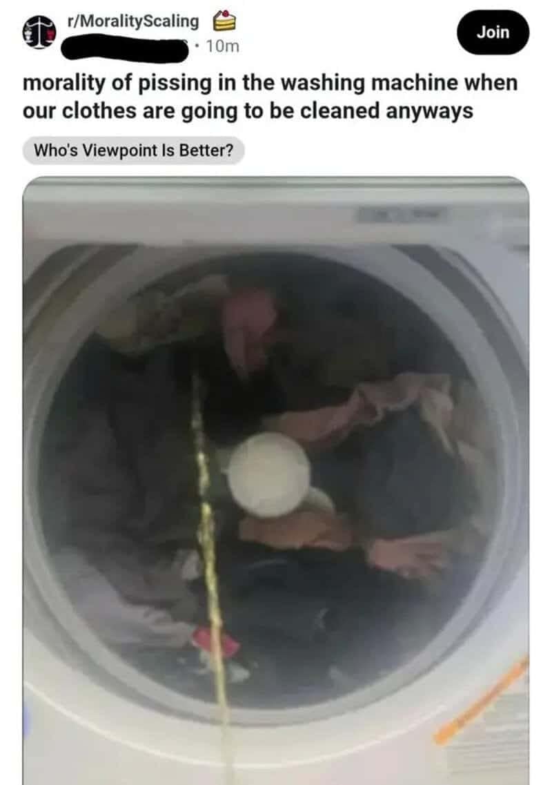 Reddit morality post about peeing in a washing machine full of dirty laundry