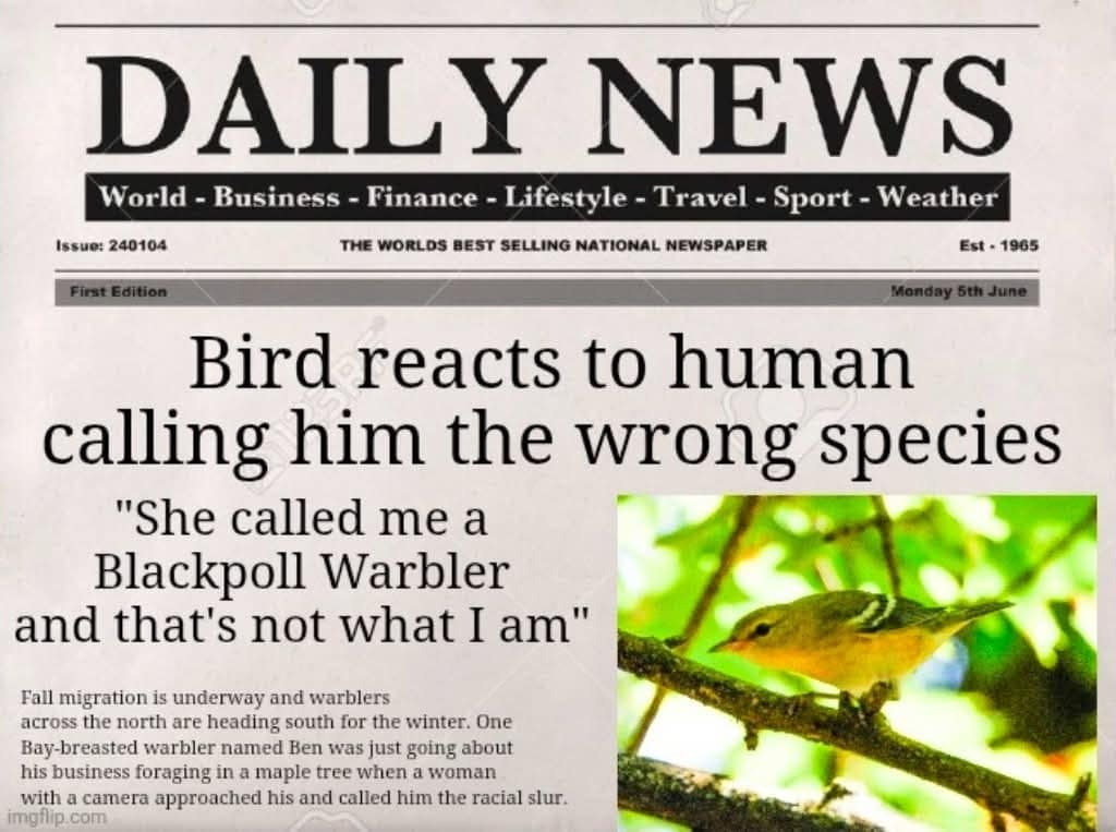 Fake newspaper headline about a bird upset at being called the wrong species of warbler