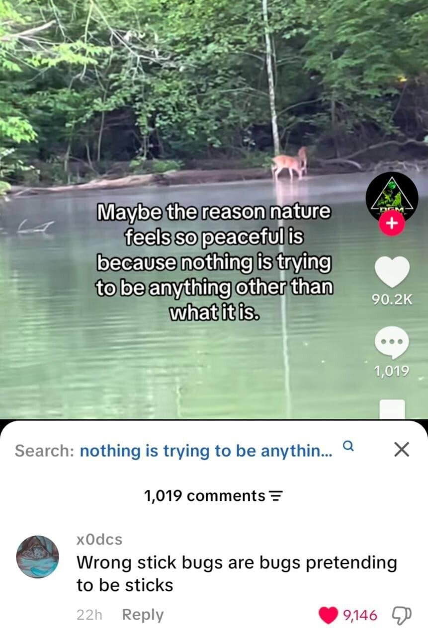 Meme dump TikTok of a deer in a misty lake, with a stick bug comment