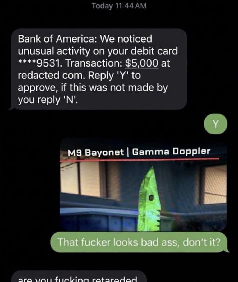 Bank fraud alert text approved for an expensive video game knife skin purchase