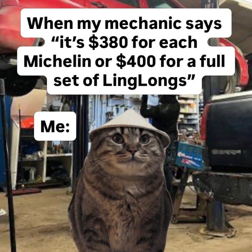 Meme dump cat in a work hat at a mechanic shop, unmoved by tire prices
