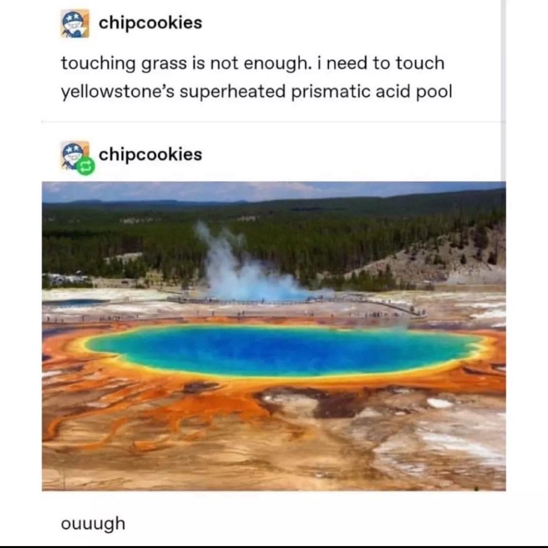 Tumblr post wanting to touch Yellowstone's superheated rainbow acid pool instead of just grass