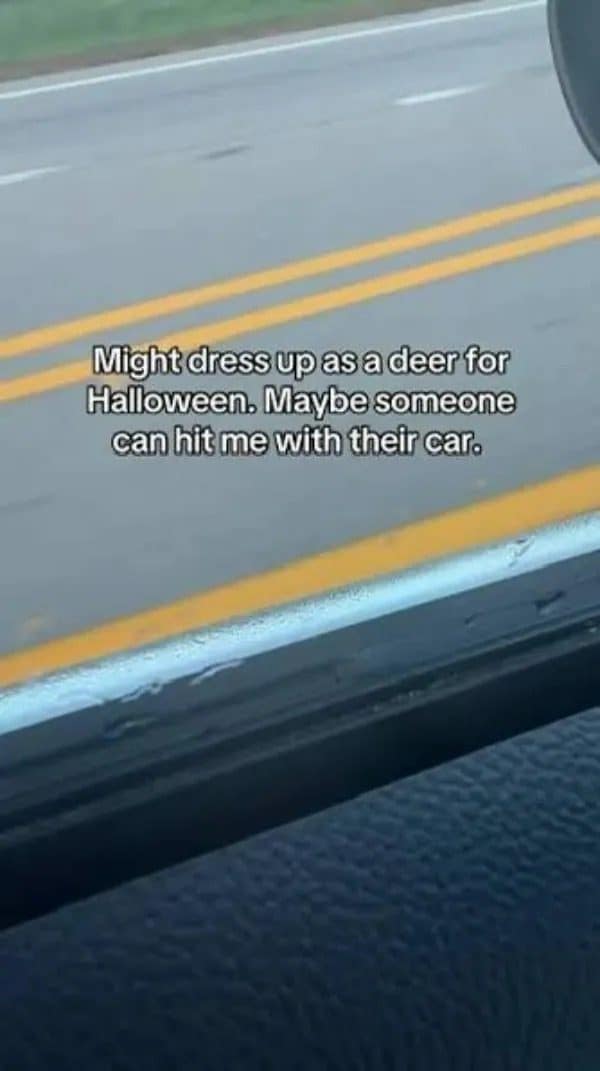 View of a road from a car window with a joke about dressing as a deer for Halloween.