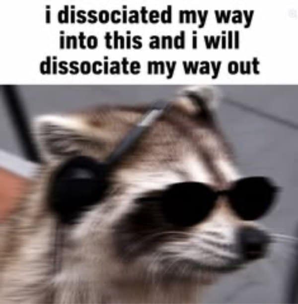 Raccoon in dark sunglasses captioned I dissociated my way into this and will dissociate out