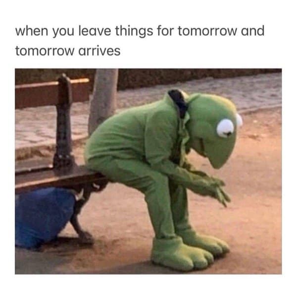 Kermit slumped on a bench when the tomorrow you left everything for finally arrives