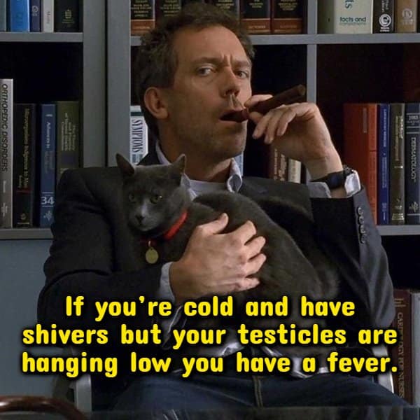 Hugh Laurie as Dr. House holding a gray cat with text about fever signs.