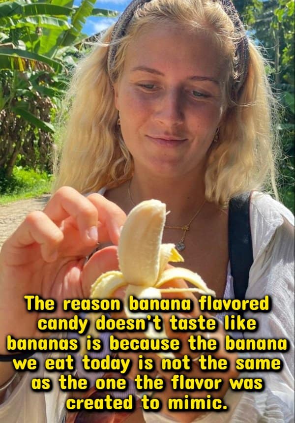 Woman peeling a banana outdoors with text explaining why banana candy tastes different.