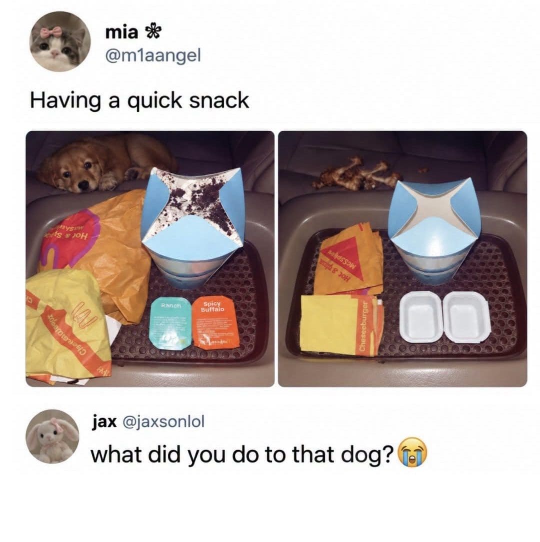 Relatable memes tweet where a puppy vanishes between photos, leaving only bones on the seat.