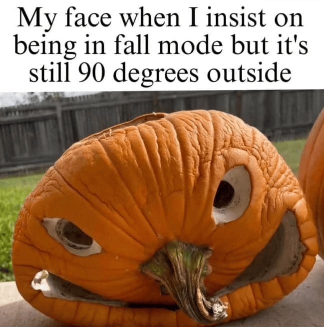 Collapsing carved pumpkin with sagging eyes, joking about fall mode in 90 degree heat.