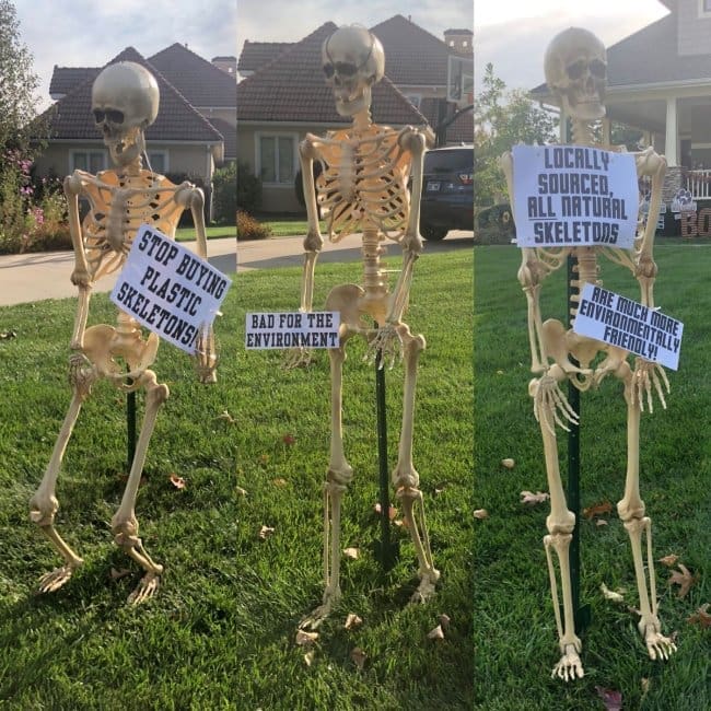 Lawn skeletons holding protest signs promoting locally sourced, all natural skeletons over plastic ones.