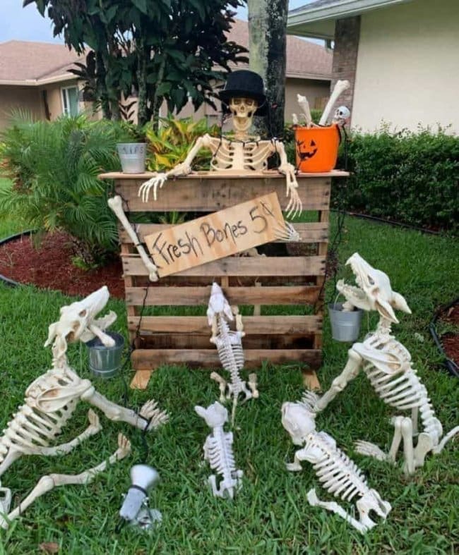 Skeleton selling fresh bones for five cents to a crowd of eager skeleton dogs.