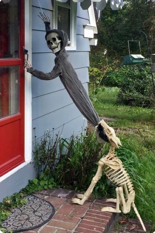 Hooded skeleton pulled off a front door handle by a skeleton dog biting its robe.