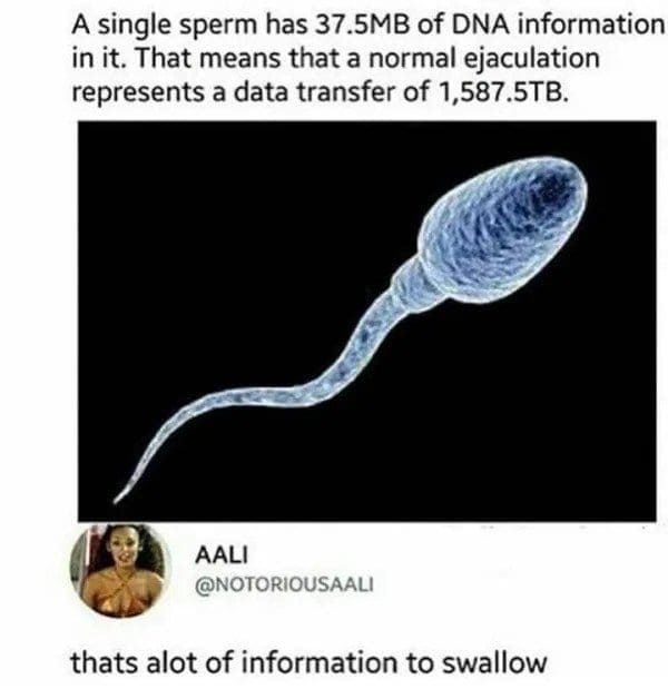 Microscope image of a sperm cell with a joke about DNA data transfer in terabytes