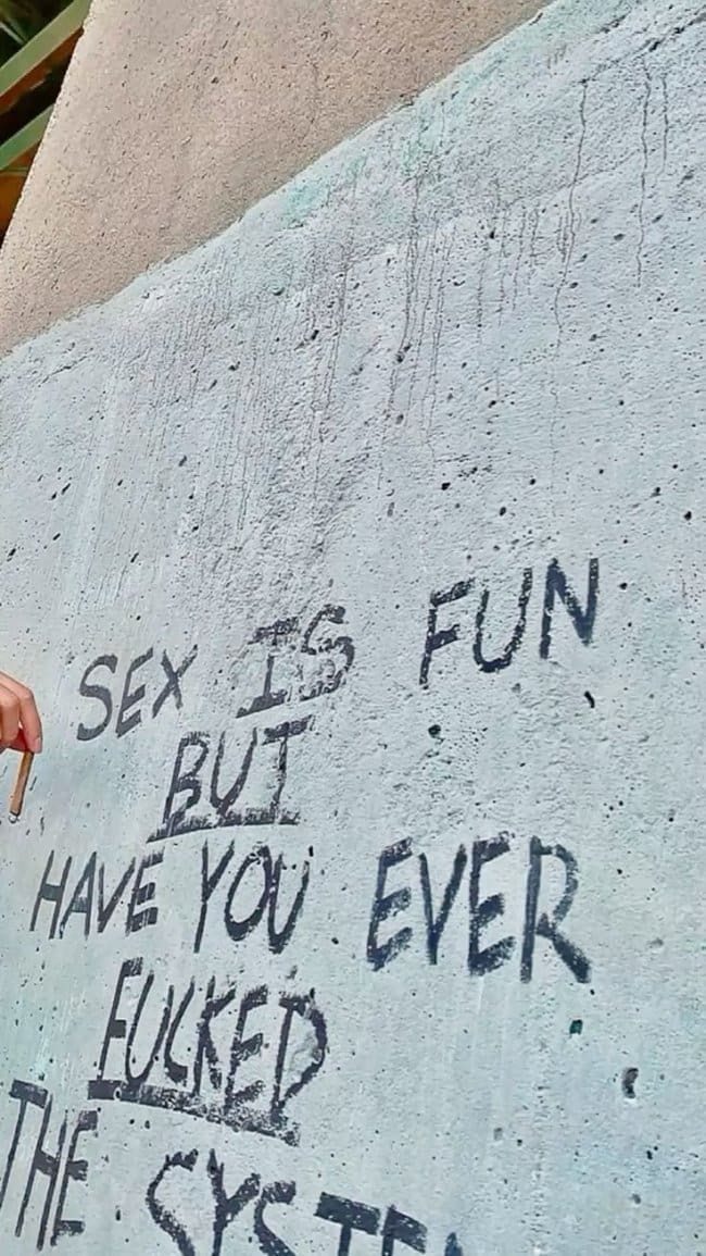 Profane graffiti on a concrete wall about sex and taking on the system.
