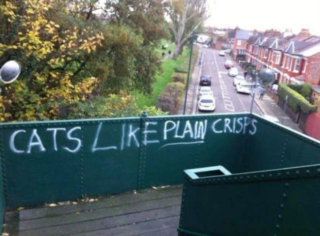 Graffiti on a green footbridge railing announcing that cats like plain crisps.