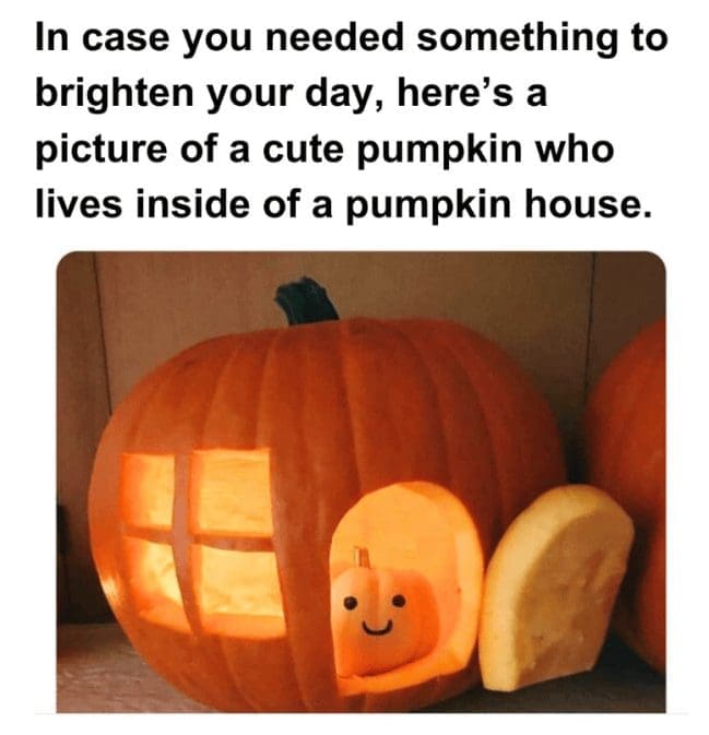Cute small pumpkin with a drawn smile peeking out of a carved pumpkin house door.