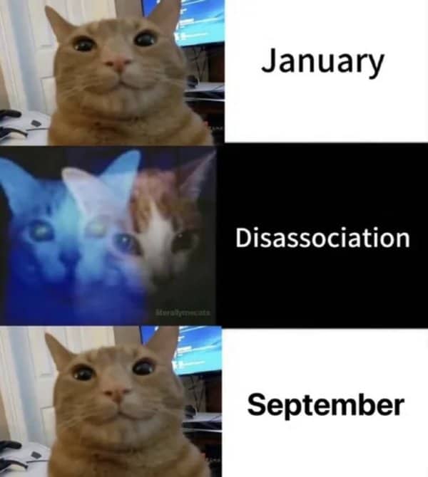 Three panel cat meme with a smiling cat in January and September and dissociation between
