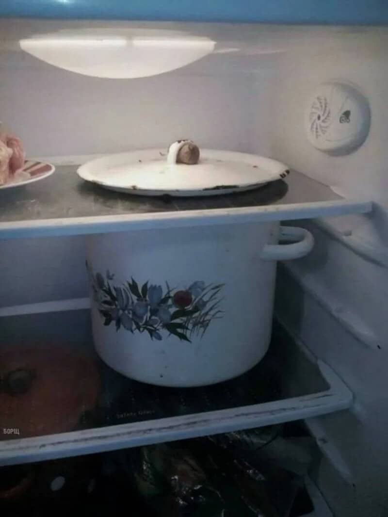 Refrigerator with a soup pot on a lower shelf and its lid sitting on the shelf above.