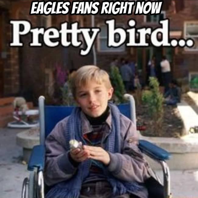 Movie scene of a boy in a wheelchair gently holding a small bird, captioned Eagles fans right now.