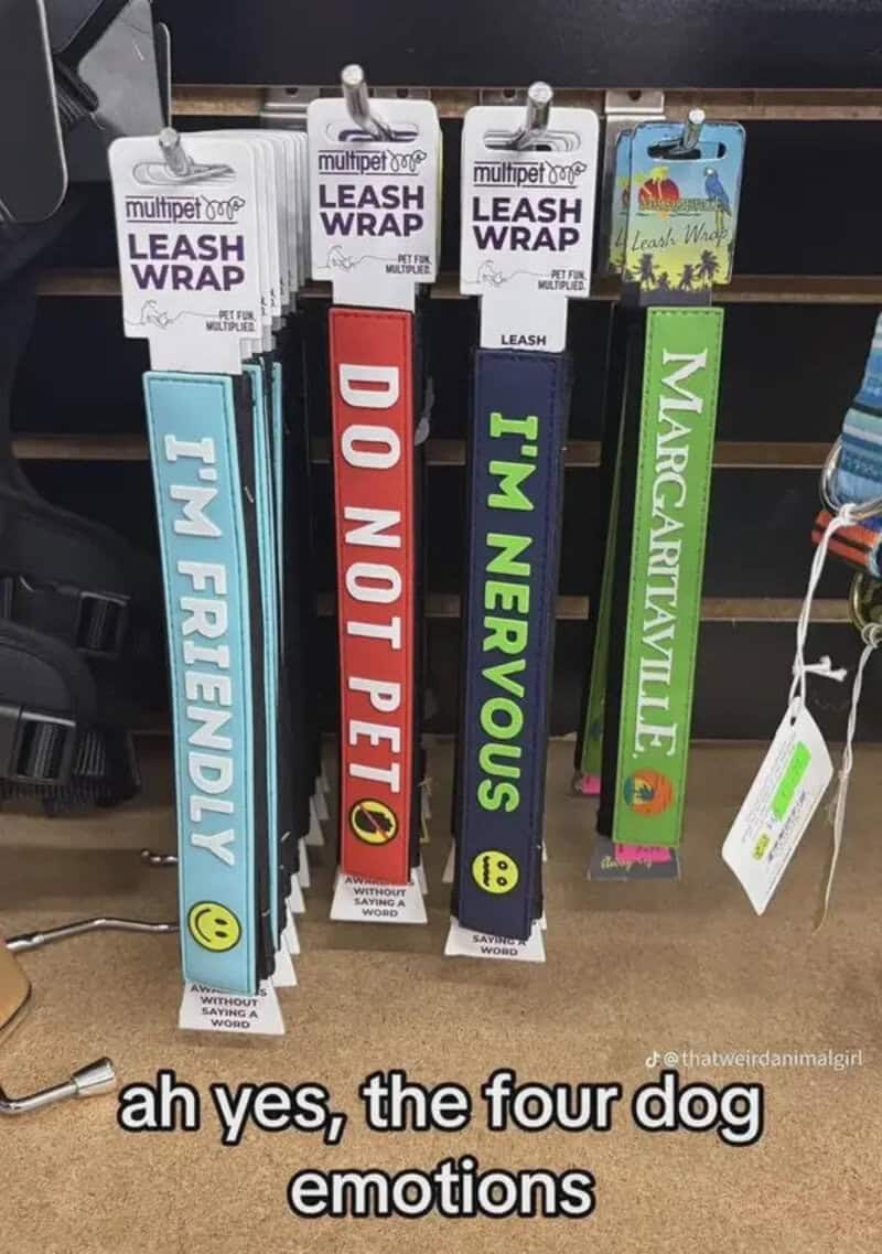Pet store leash wraps reading I'm friendly, do not pet, I'm nervous, and Margaritaville.