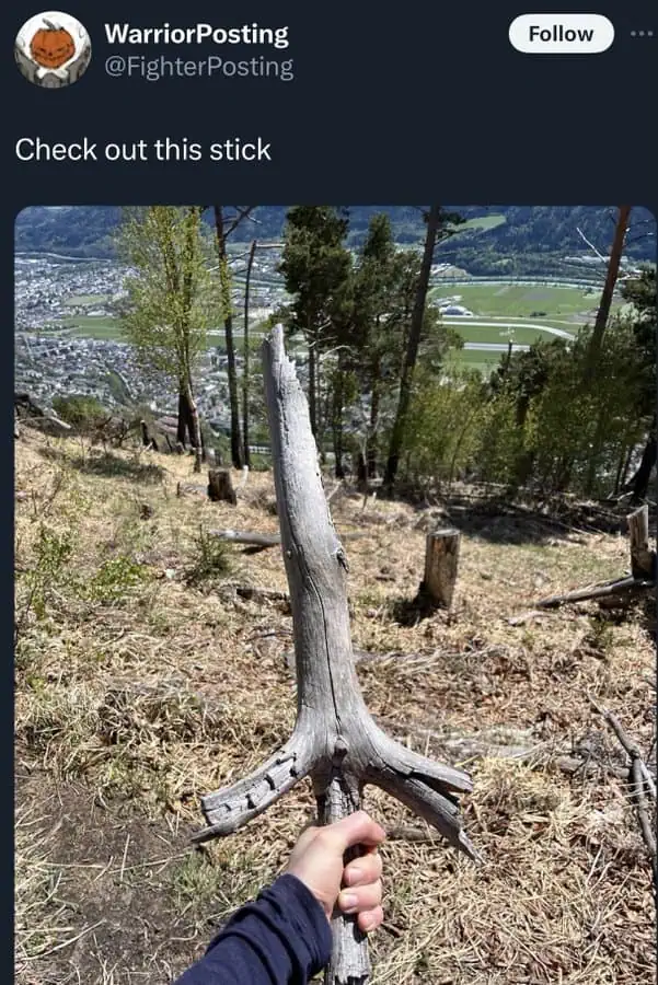 Hand holding a weathered, sword shaped stick on a hillside overlooking a valley town.
