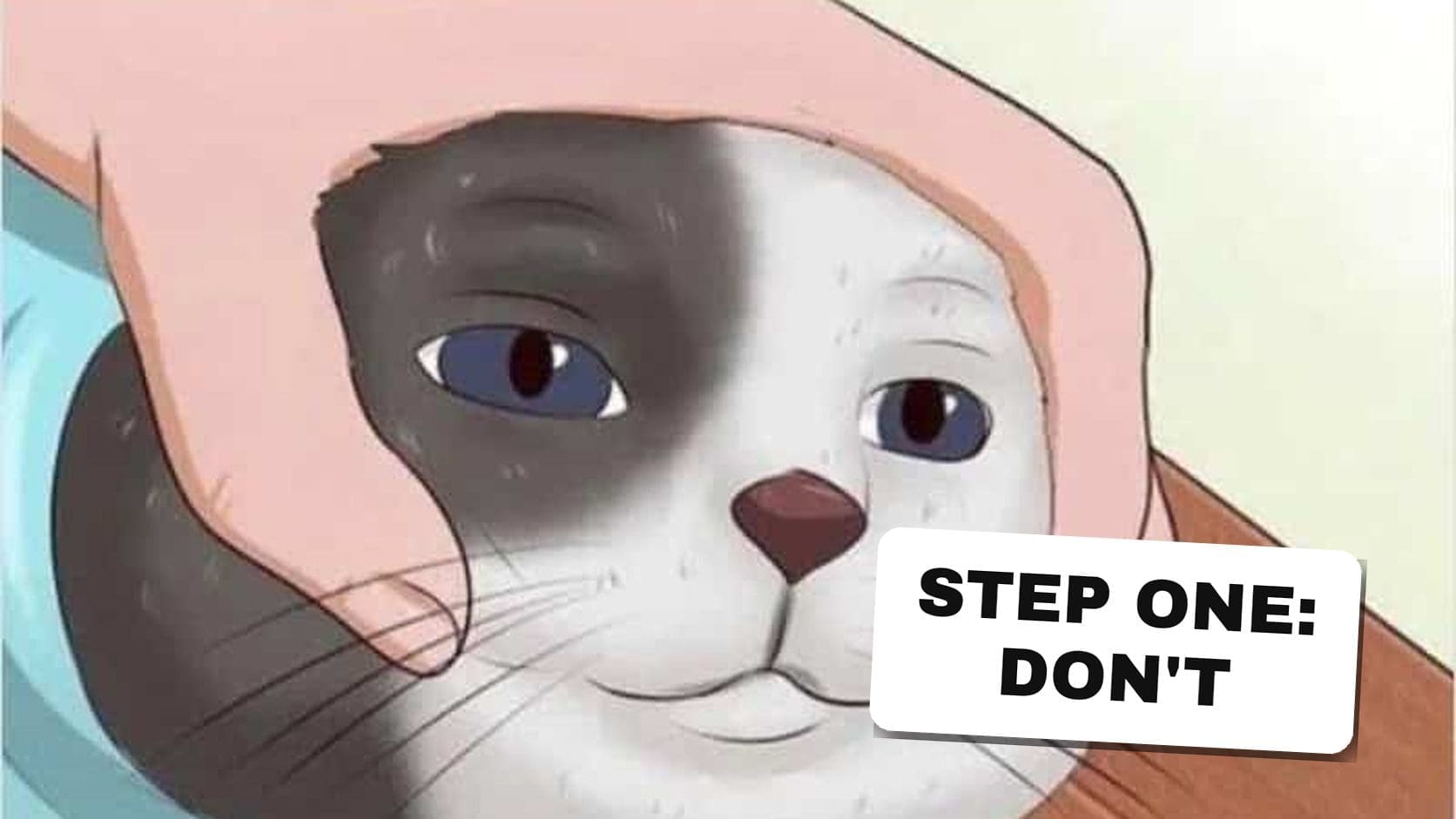 Cartoon hands squeezing a black and white cat's head to see if it is ripe, from a batch of WikiHow memes.