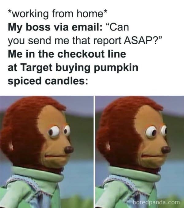 Puppet monkey looking away while buying pumpkin spice candles as the boss emails for a report.