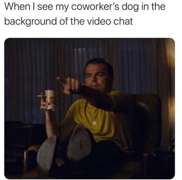 Leonardo DiCaprio pointing excitedly, in work from home memes about spotting a coworker's dog on video.