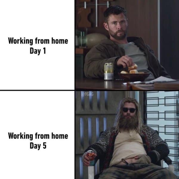 Thor looking fit on day one of working from home and very relaxed by day five.