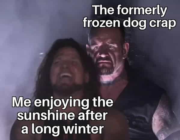 The formerly frozen dog crap Me enjoying the sunshine after a long winter