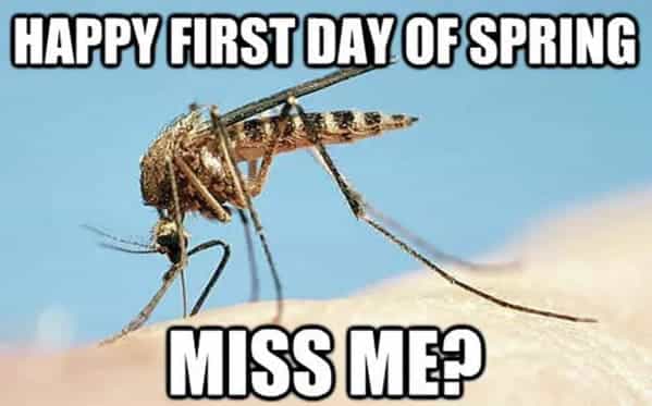 HAPPY FIRST DAY OF SPRING MISSME