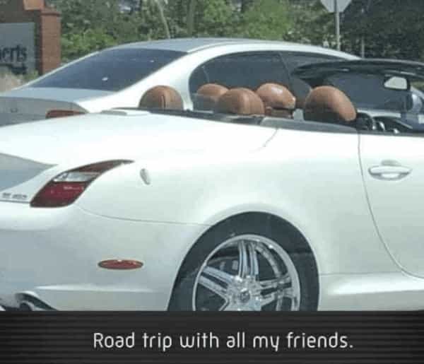 Road trip with all my friends.