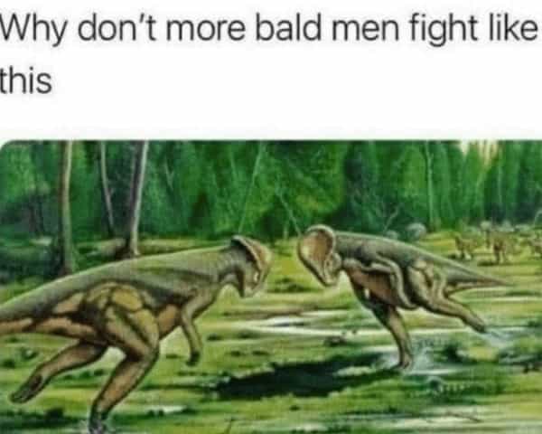 Why don't more bald men fight like this