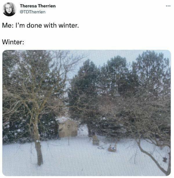 spring meme