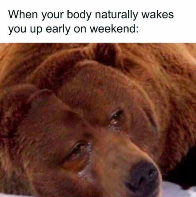 weekend memes